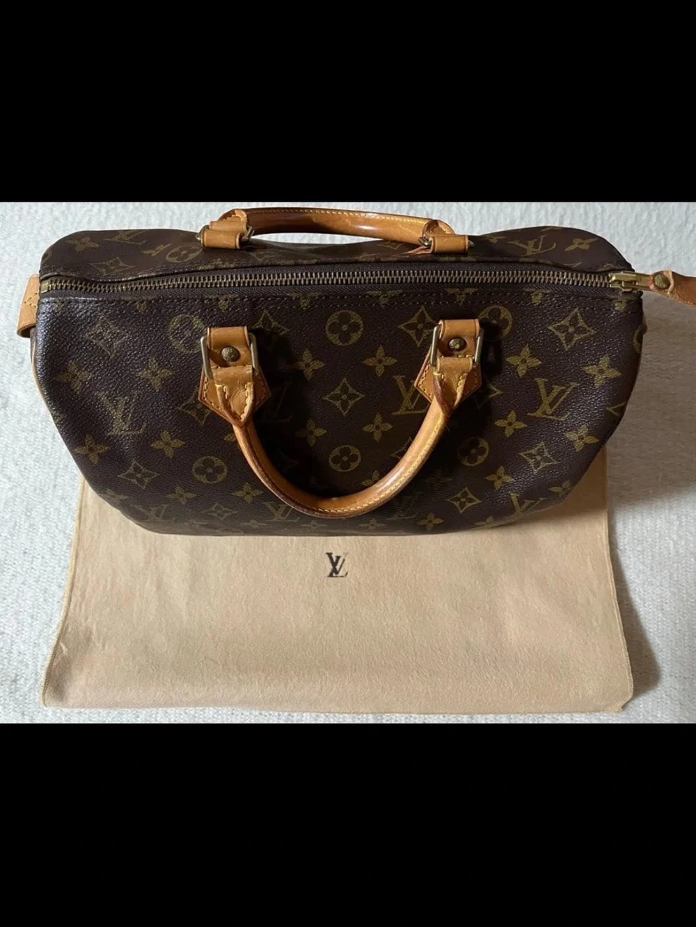 Louis Vuitton Brown Monogram Canvas Speedy Satchel